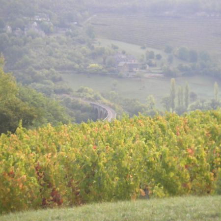 Maison Isolee Dans Les Vignes Et Les Bois Valady 외부 사진