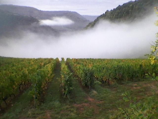 Maison Isolee Dans Les Vignes Et Les Bois Valady 외부 사진