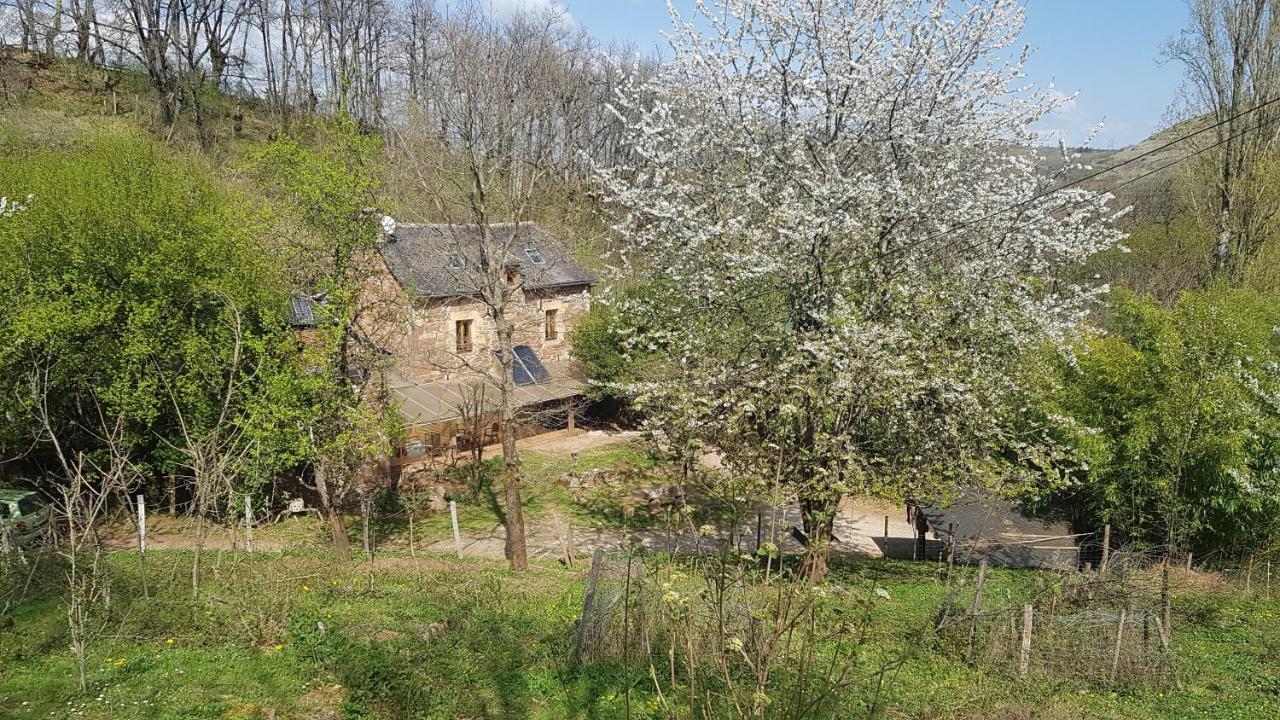 Maison Isolee Dans Les Vignes Et Les Bois Valady 외부 사진